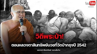 พระป่าตอนหลวงตาบวชที่วัดป่ากรุงปี 2542 #พระสิ้นคิด #หลวงตาสินทรัพย์ #อานาปานสติ