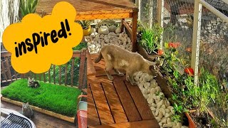 Top CAT-Proof Balcony Ideas❗ by Samo Tries Cat Stuff 348 views 2 months ago 1 minute, 40 seconds