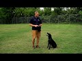 How To Teach Your Dog To Heel with the Garmin Delta® SE