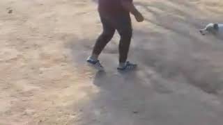 El Perro Cochino Violador