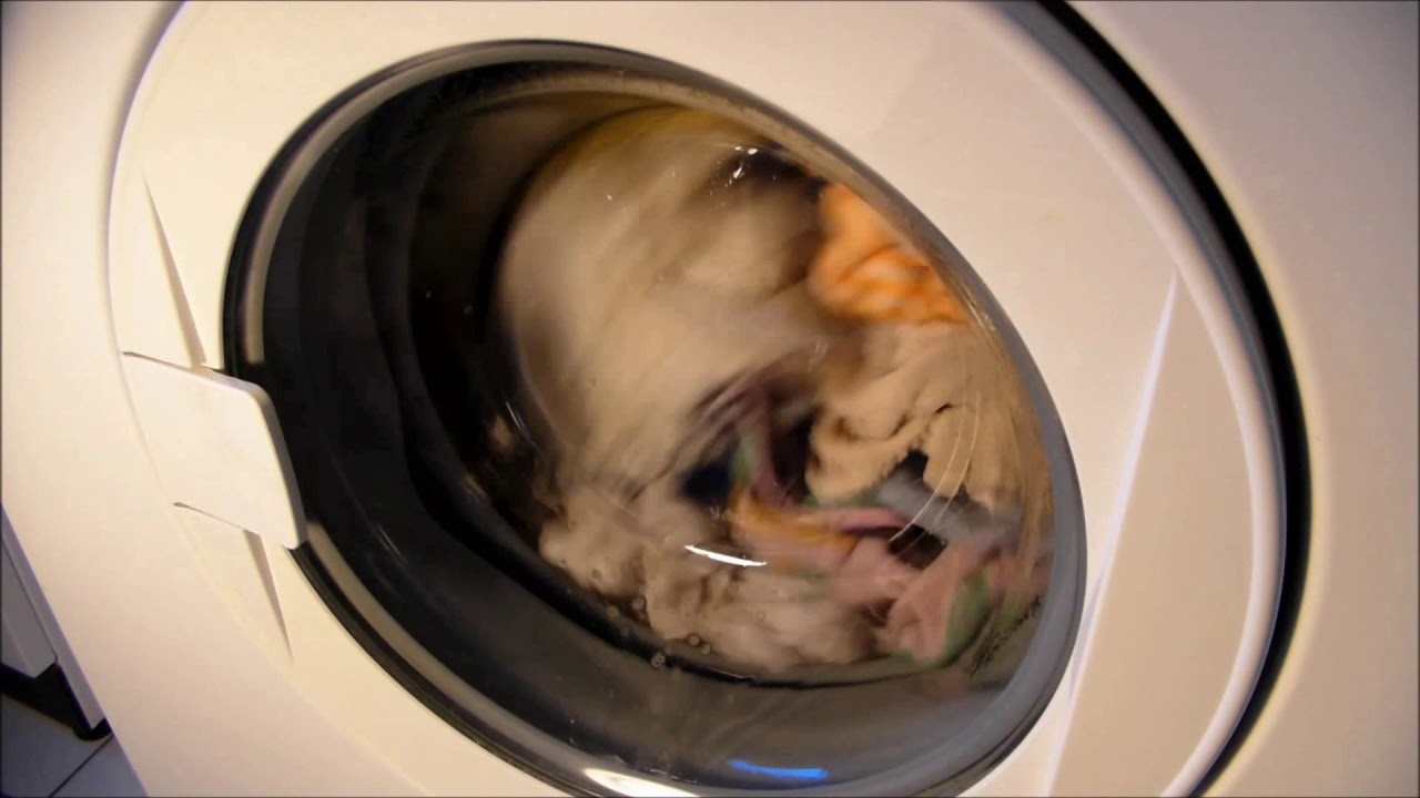 Siemens Siwamat Berlin 4202 Bawełna 95°C