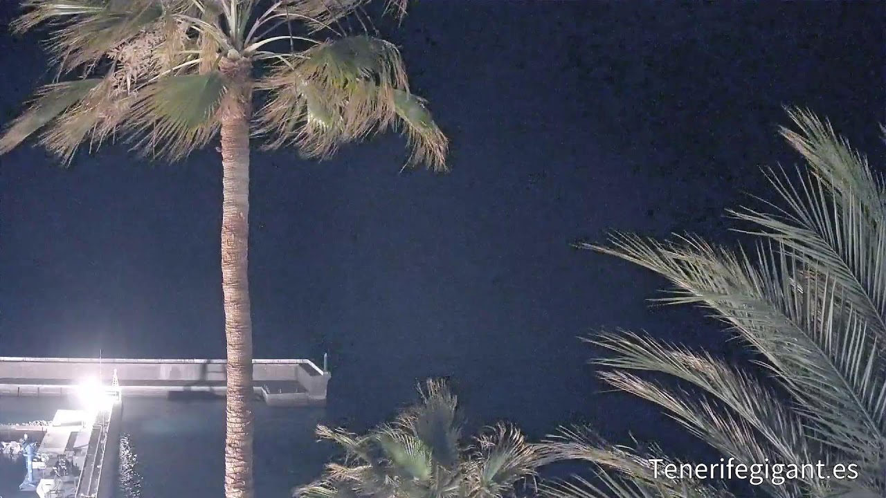 Acantilados de Los Gigantes & Puerto Deportivo