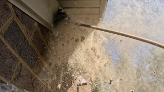 Another Banger This Ones Extreme Boys And Girls Dryer Vent Cleaning