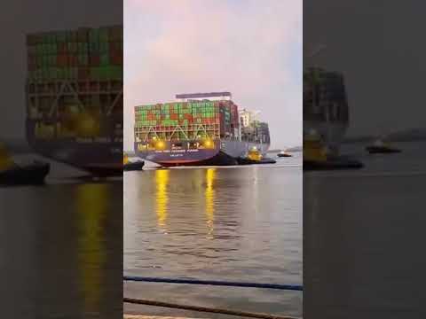 CMA CGM vessel berthing #shorts #subscribe #1m #live #cargo #like