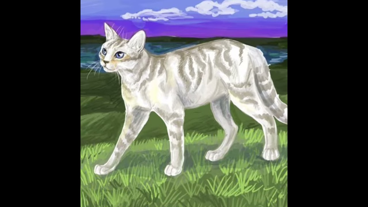 Картинки серебрянки из котов воителей