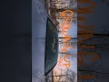 Aesthetic animated title idea #growingupseries #premierepro #aestheticclips #comingofage