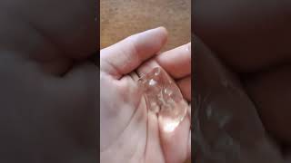 it works! put gummy bears in a container with water for 24hr they get bigger