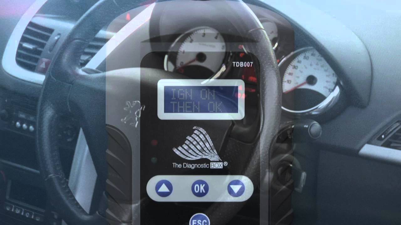 Code Pin Citroen Peugeot Depuis Vin Gratuit