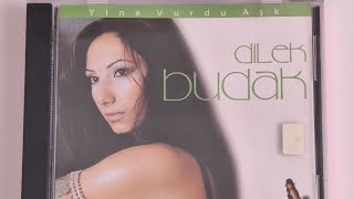 Dilek Budak - Aşka Yürek Gerek (2003) (CD Ripoff) Resimi