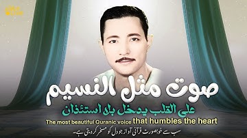 حين يبكي الصوت من الخشوع 😭 آيات تورث سكينة  | Emotional Quran
