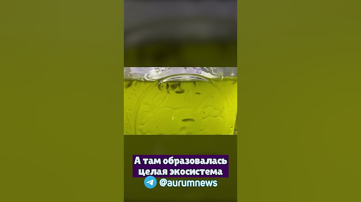 За Год В Банке Образовалась Целая Экосистема С Флорой И Фауной