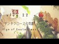 【vlog.22】サンタクロースの気配・Sign of Santa Claus/christmas/クリスマス/楽しみいろいろ