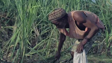 TYDAL KAMAU - TELL DEM FI FARM - OFFICIAL VIDEO 'FOCUS RIDDIM'