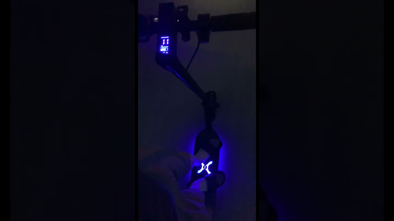 Electric Scooter Fun 