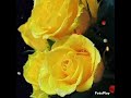 Я РАСУЛАЛОХ