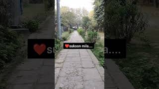 Download Lagu sukoon mila song|Arijit singh sukoon mila #viral #youtubeshorts #song #shorts MP3