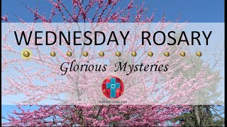 Wednesday Rosary • Glorious Mysteries of the Rosary ❤ May 15, 2024 VIRTUAL ROSARY MEDITATION