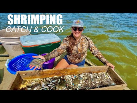 I Pulled a Net Behind My Boat to Catch POUNDS of Shrimp! (Catch and Cook)