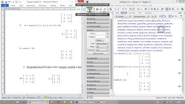 menyelesaikan matriks dengan aplikasi maple