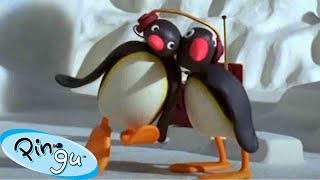 Pingu's Boogaloo 🐧 | Pingu - Official Channel | Cartoons For Kids