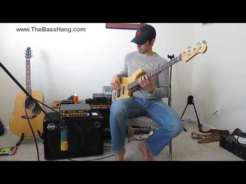 DNA and Aguilar 112 Bass Cabinets Overview and Soundclips