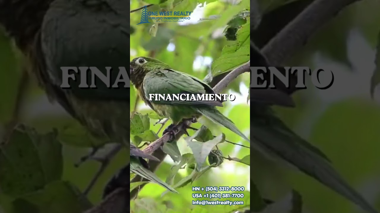 Residencial Hacienda Campisa en San Pedro Sula