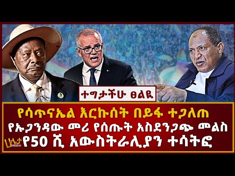 ቪዲዮ: ማይክሮ -ቢት የ MU ራዕይ ዳሳሽ - ተከታታይ ግንኙነት እና የ OLED ማያ ገጽ - 10 ደረጃዎች ቪዲዮ: ማይክሮ -ቢት የ MU ራዕይ ዳሳሽ - ተከታታይ ግንኙነት እና የ OLED ማያ ገጽ - 10 ደረጃዎች