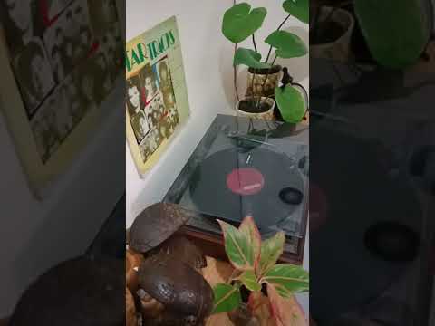 Tunay Na Ligaya - Basil Valdez