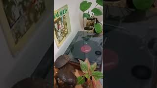 Tunay Na Ligaya - Basil Valdez