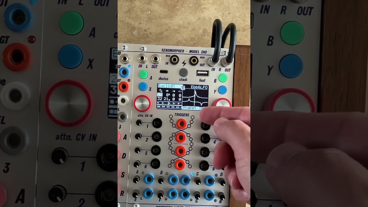XENOMORPHER - Model 2X0 - Northern Light Modular