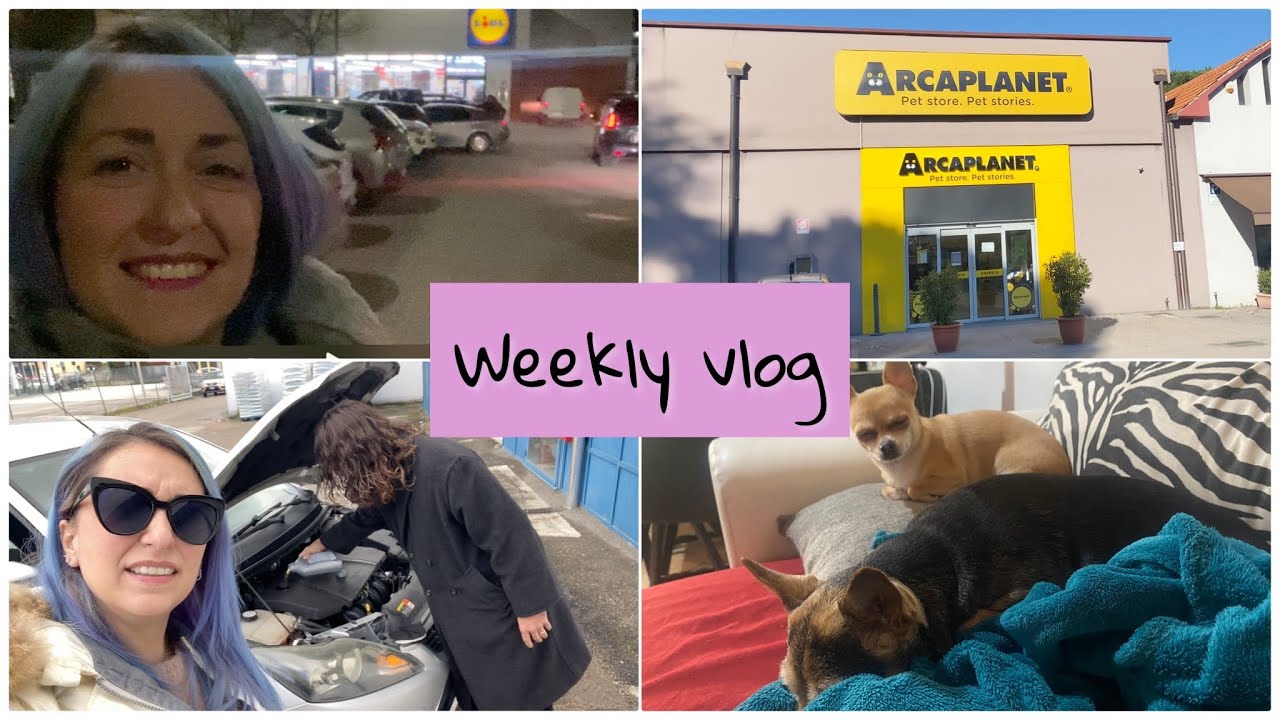 WEEKLY VLOG -Matilde sta male-