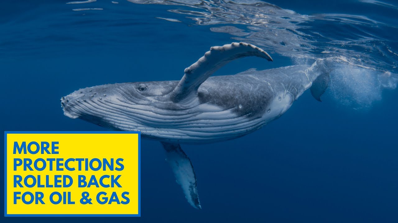 US Government Rolls Back Environmental Protections for Energy Drilling