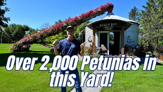 🌺 Tour a Gorgeous Backyard Garden Full of 2,000 Flowers! 🌺 Check It Out  #graingbin #antiquefarm