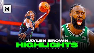 Is Jaylen Brown The Best Player On The Celtics...? 🍀