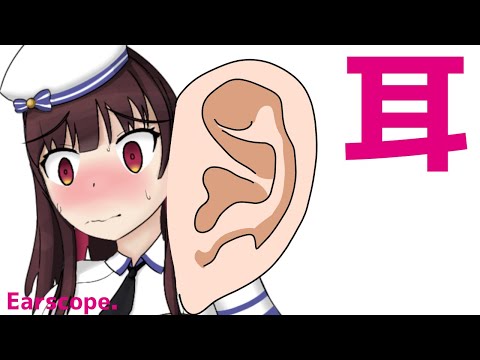 【実写】耳の中を覗く Earscope