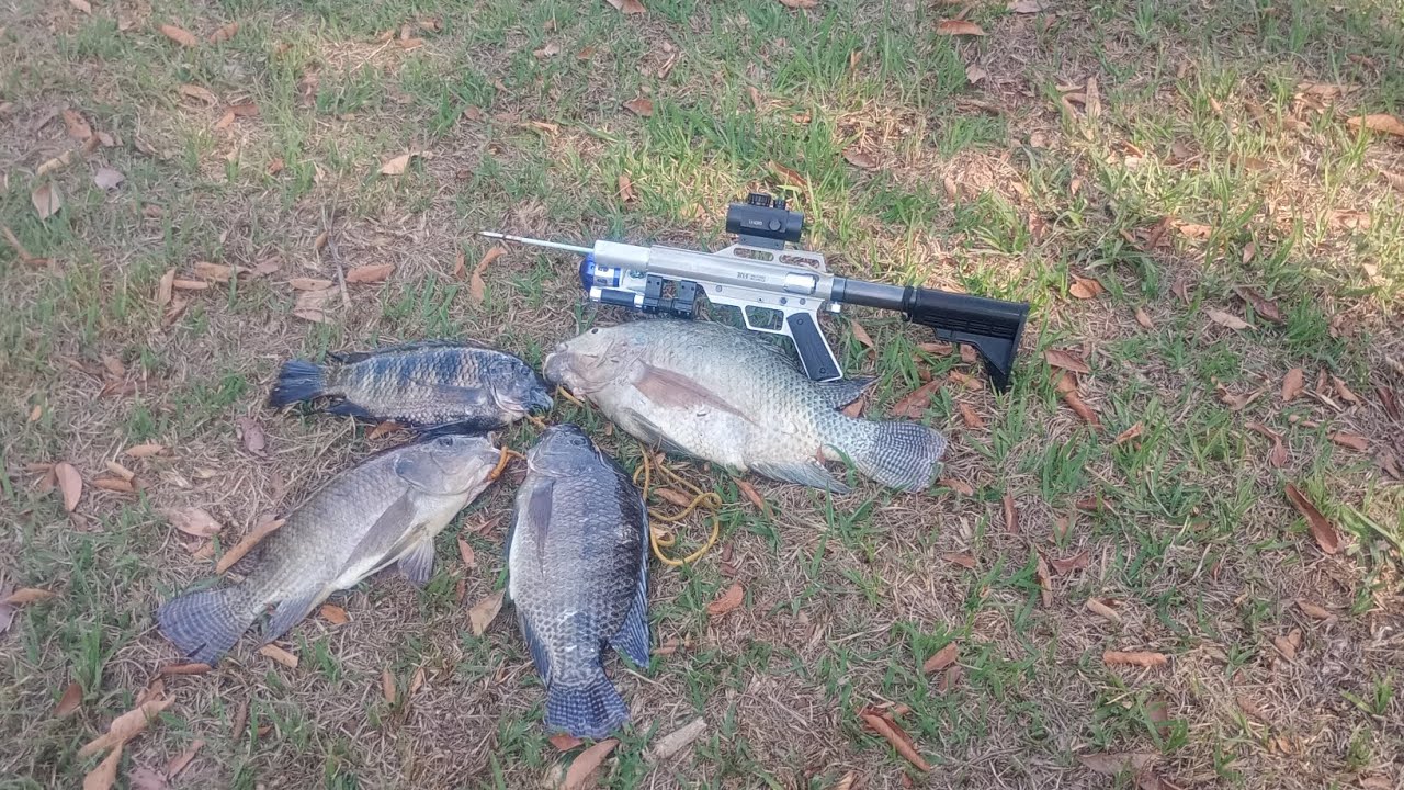 #pesca com ATX2 emoção do começo ao fim .!!🐠💯