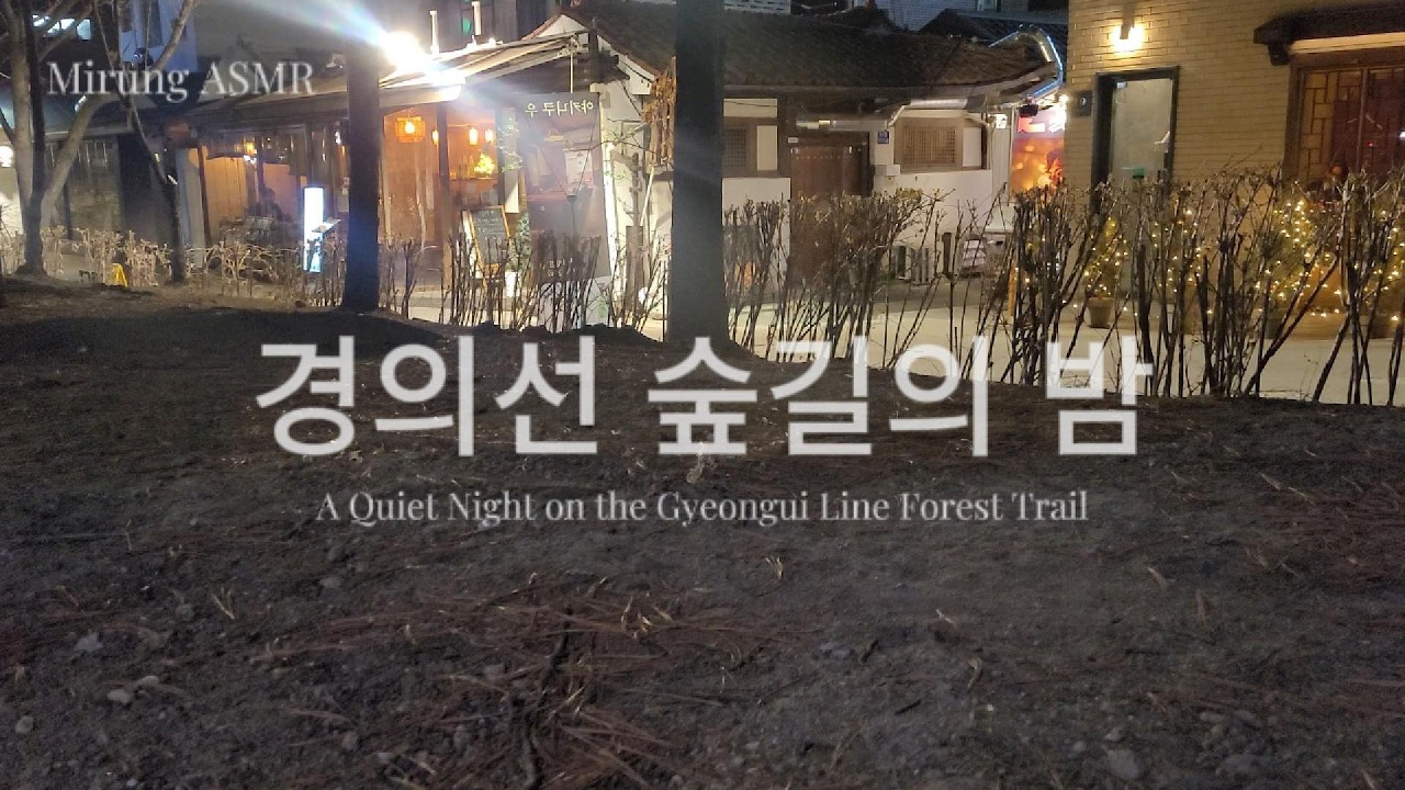 경의선 숲길의  밤|Night Walk in Seoul
