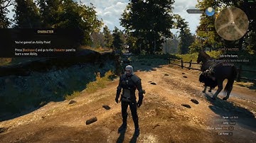 Witcher 3 cheat code no need of any mods #cheat_code #no_need_of_mods