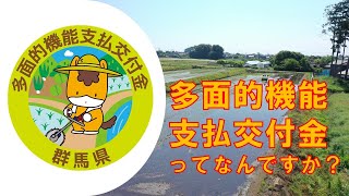 高めよう、地域協働の力!多面的機能支払交付金|農村整備課|群馬県