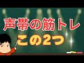 声帯を鍛える筋トレ方法2つ!毎日やって音域、声量アップ!