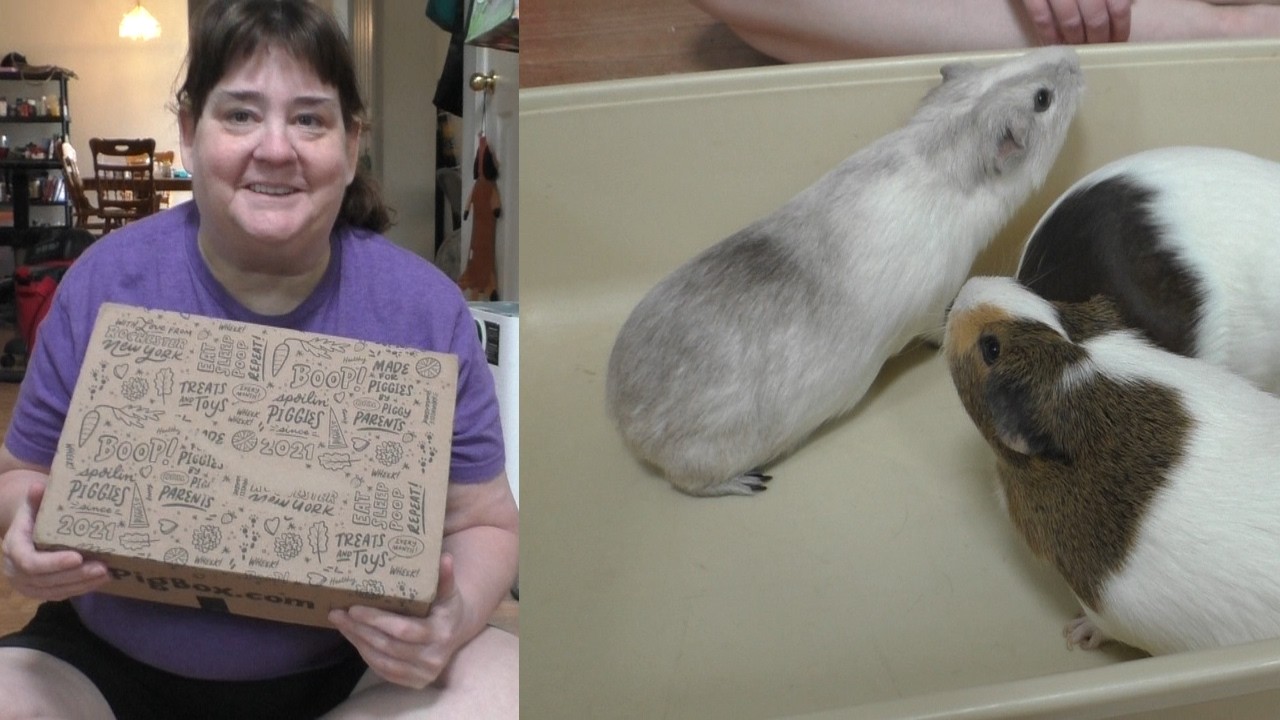 GPig Box Unboxing May 2026! 🐹 - YouTube