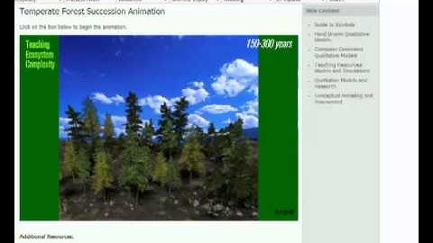 Forest Ecology Intro Video