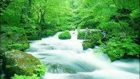 تلاوة تفوق الوصف حمد دغريري النمل الاية 59