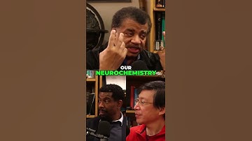 Understanding Free Will: The Limits of Our Perception