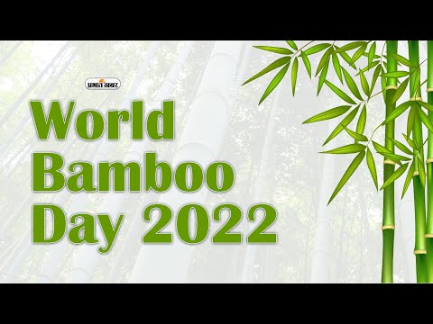 World Bamboo Day 2022: जंगल बचाने और पर्यावरण संरक्षण के लिए बांस के उत्पादन पर दें जोर