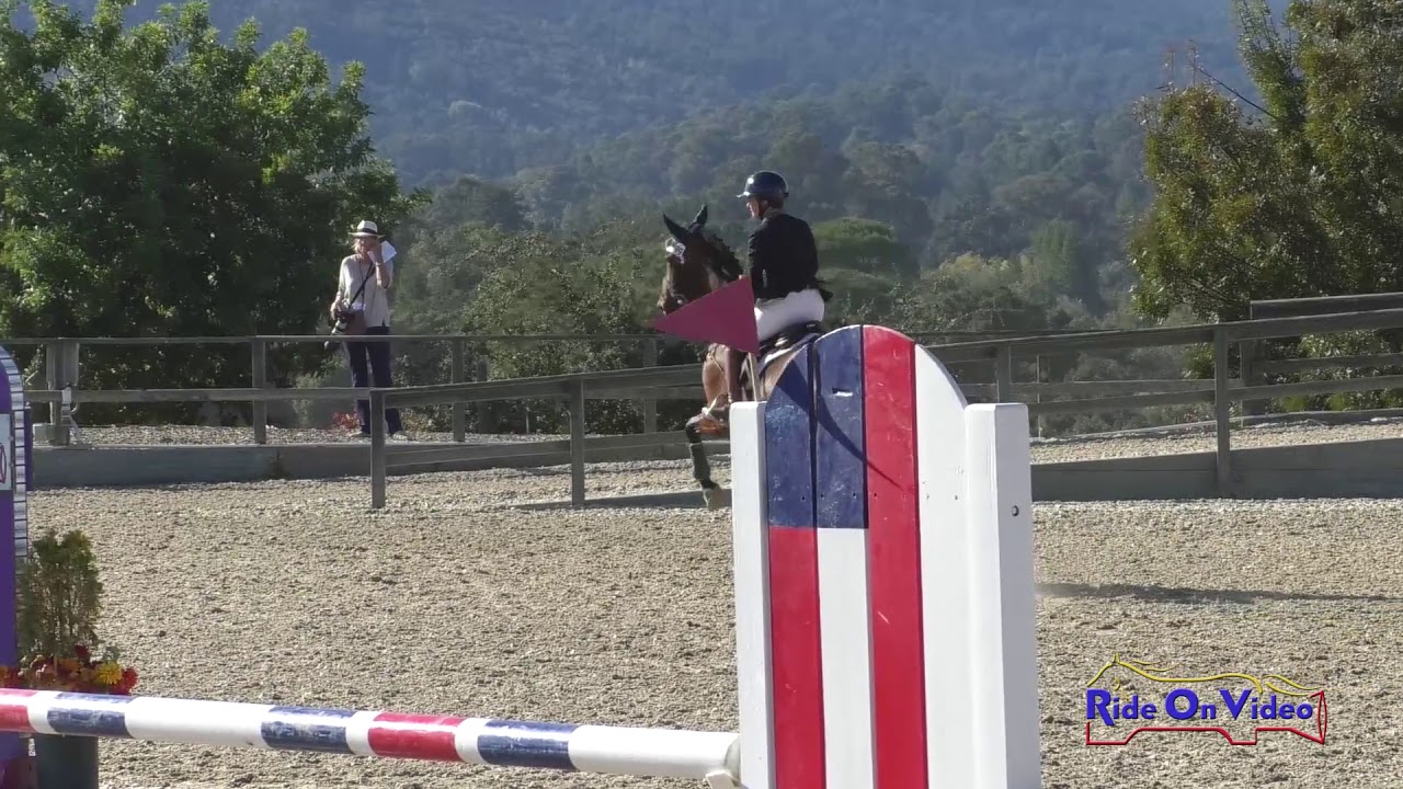 taper fade 099S Erin Kellerhouse on Woodford Reserve CCI3* Short Show Jumping Woodside Oct. 2019