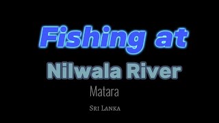 Fishing At Nilwala River Matara Srilanka Traditional Fishing