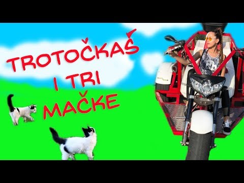 Video: Kako Spraviti Mačko K Pijači