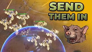RHINO SO OP - and I love it! (Part 2)