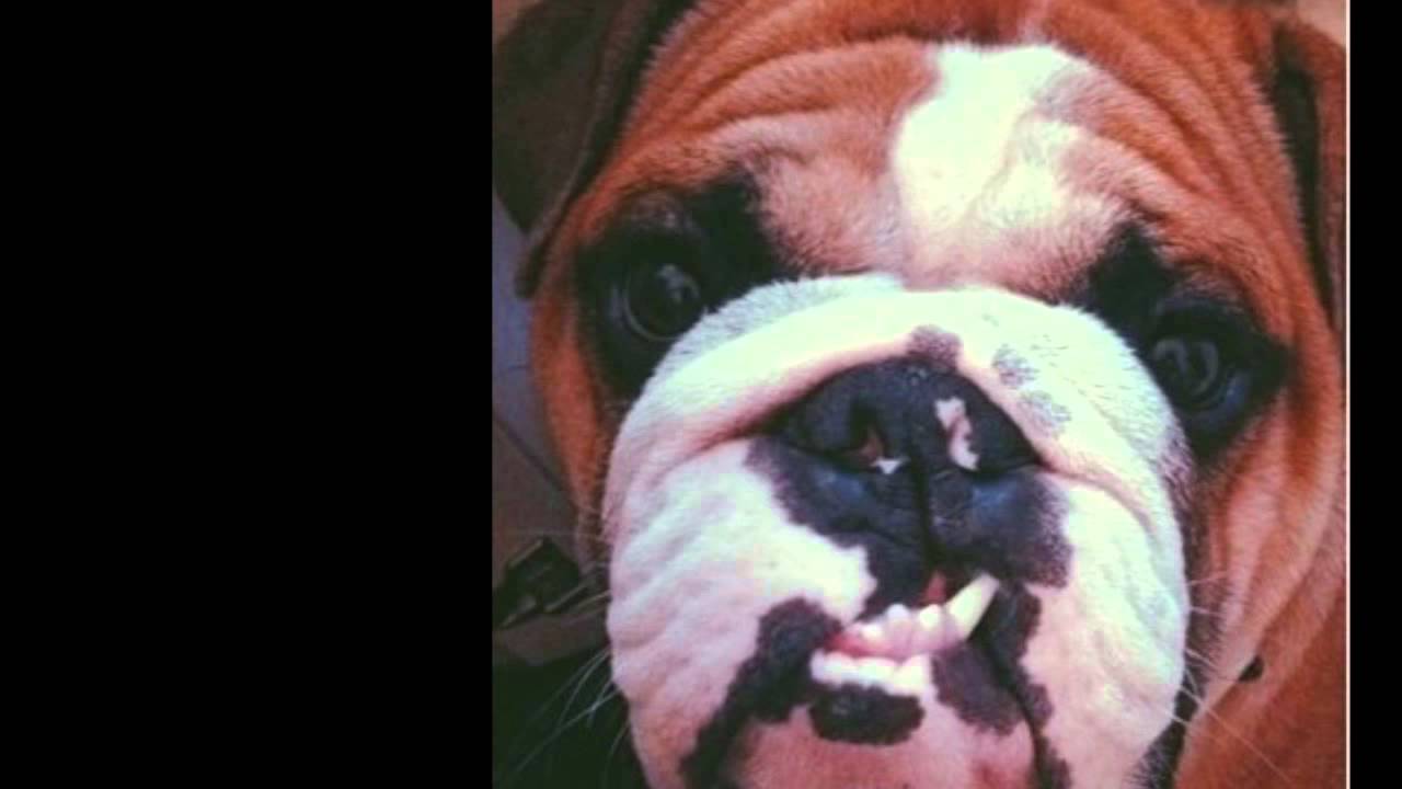 Exit Stage Left (Instrumental)